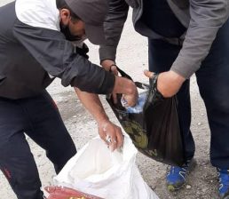 {{brizy_dc_image_alt imageSrc=