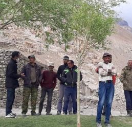 {{brizy_dc_image_alt imageSrc=