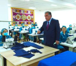 {{brizy_dc_image_alt imageSrc=